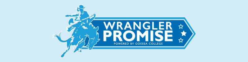 Wrangler Promise Header Graphic.jpg